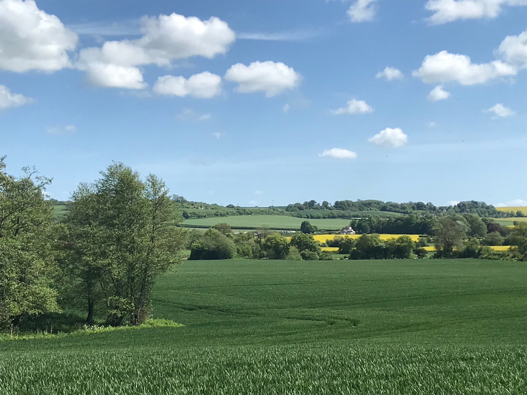 View across Lenham meadow and countryside